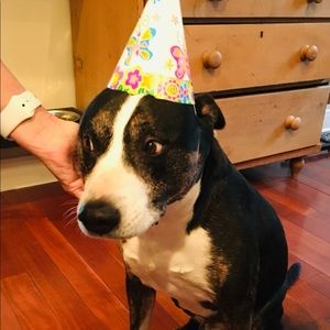 Meet your Posher, Denise